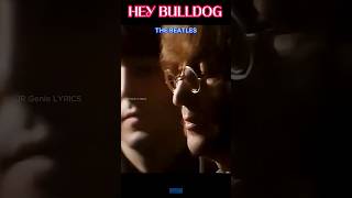 Hey Bulldog - The Beatles