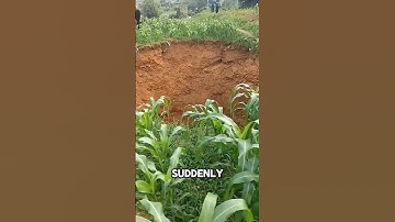 Terrifying Sinkhole Appears Out of Nowhere!
