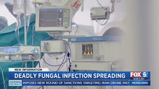 Deadly Fungal Infection Spreading