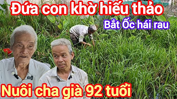 Đứa con khờ hiếu thảo bắt ốc hái rau nuôi cha già 92 tuổi , lo không có tiền mua gạo