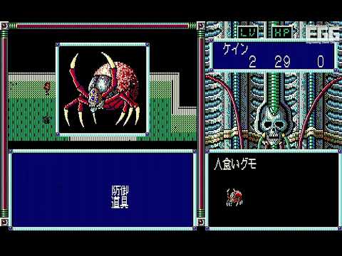 動画