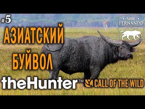 Видео: theHunter Call of the Wild #5 🔫 - Охота на Азиатского Буйвола - Калибр 338