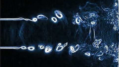 Vortices, Pairings, and Shock Waves