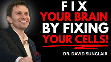 Your Brain Fog Isn’t Mental — It’s Mitochondrial | Dr. David Sinclair!