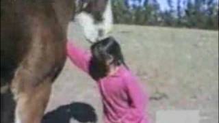 Ataque de Caballo (Real)