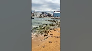 عن النبي صلى الله عليه وسلم وآله وسلم قال: "من حفظ عشر آيات من أول سورة الكهف، عصم من فتنة الدجال