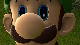 (sfm) Luigi test reuploaded