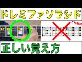 【音名の覚え方】初めてのドレミファソラシドはこう覚えよう！丸暗記は絶対ダメ！