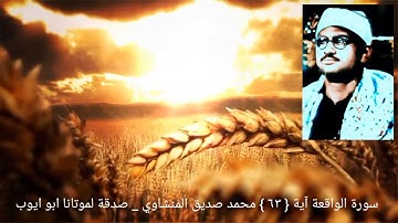 أفرءيتم ما تحرثون { ٦٣ } ءأنتم تزرعونه أم نحن الزارعون { ٦٤ } سورة الواقعة _ المنشاوي
