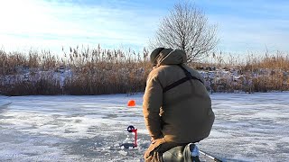 РЫБАЛКА НА ЖЕРЛИЦЫ 2022-2023. Зимняя рыбалка в Рязанской области. Первый лёд 2022-2023.