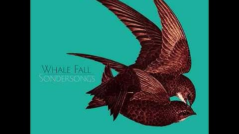 Whale Fall - Sondersongs (Full Album)