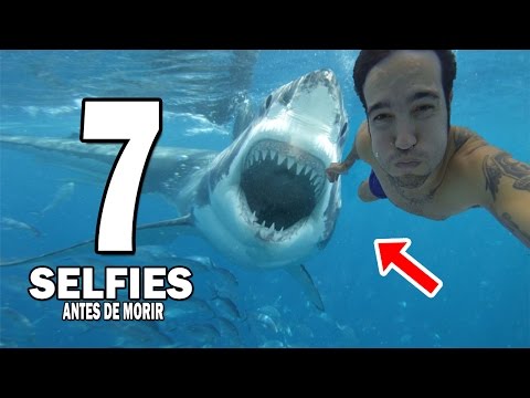 7 Selfies que Fueron Tomadas Antes de Morir