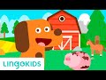 Bingo the Dog Song for Kids | Nursery Rhymes | Lingokids