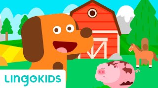 Bingo the Dog Song for Kids | Nursery Rhymes | Lingokids