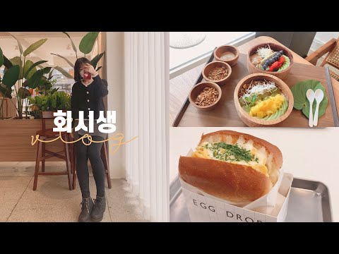 종합반 회시생의 을지로 밥집 찾아 삼만리 브이로그