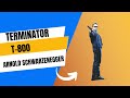 Dcuo Terminator