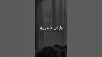 #قرآن كريم#قران كريم بصوت جميل#قران کریم🫀#قران صوت راحه نفسيه#﷽ القران الكريم#صوت قران يخشع القلوب