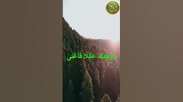 #القرآن_الكريم #سورة_الضحى