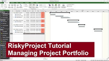 RiskyProject Enterprise Tutorial: Managing Project Portfolio