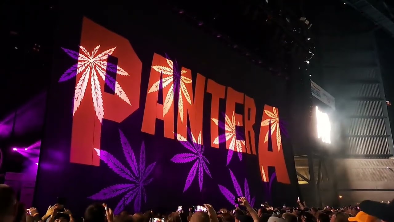 Pantera Curtain Drop
