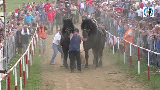 -Eso Jukić Cezar I Rubin Drugi U Teškoj Izačića -