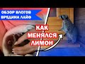 ВРЕДИНА ЛАЙФ | ОБЗОР ВЛОГОВ