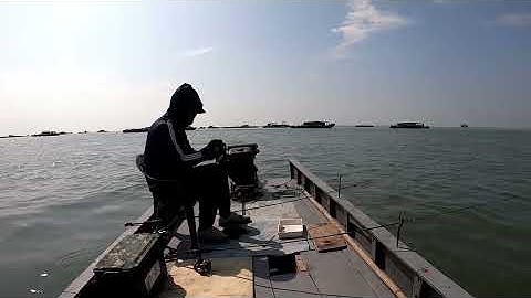 Câu buông cá đục núi tổ chim Móng Cái , cần thủ Hoàng Dinh giật cá như trong ao