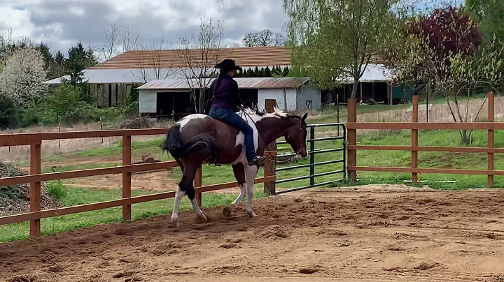 Elizabeth Kauffman (bareback wall/jog)