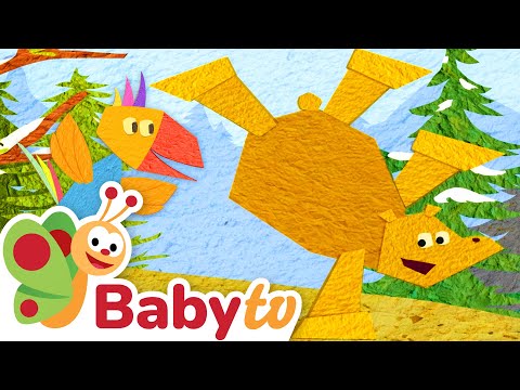 Kann Tucky wie ein Bär schlafen? | Tierverhalten für Kleinkinder | BabyTV
