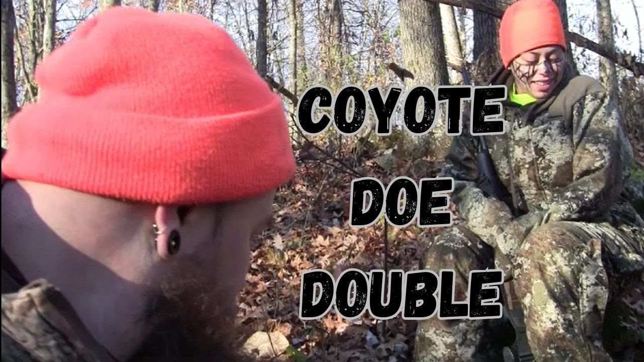 Tiffany's Coyote, and Doe double