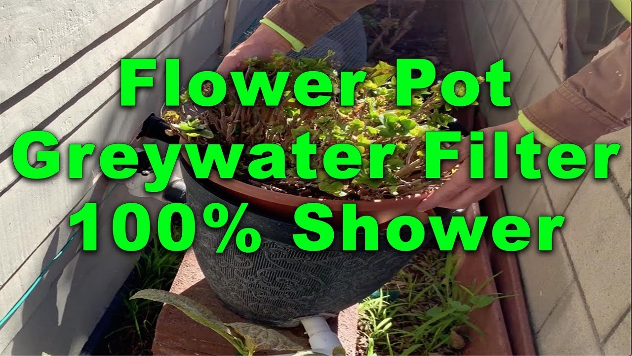 A DIY Greywater Flower Pot Filter to an existing drought tolerant