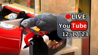 Einstein Parrot LIVE! 12/17/2023