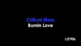 Watch Critical Mass Burnin Love video