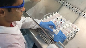 A machine that automates the growing of human cells