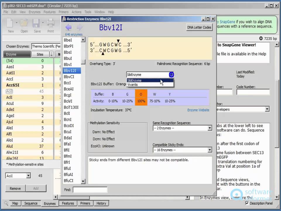 snapgene viewer asterisk snapgene viewer asterisk