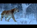 The taking of tiger mountainthe best tiger scene