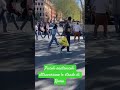 piccoli anatroccoli attraversano le strade di Roma #Roma #pasquetta2026 #perte #funny #viral #strada