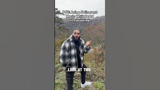 Mocking WhiteBeard 💀 #onepiece #whitebeard #blackbeard #fyp #japan #fukushima #zehahaha #animefyp