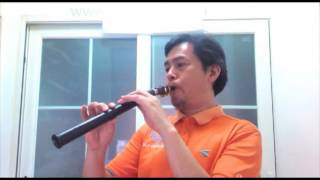 8 hole LittleSax - Simple Saxophone, Mini Pocket Sax/Xaphoon/Tupian/Bamboo/