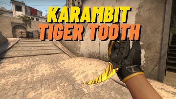 ★ Karambit Tiger Tooth | CSGO Knife Showcase