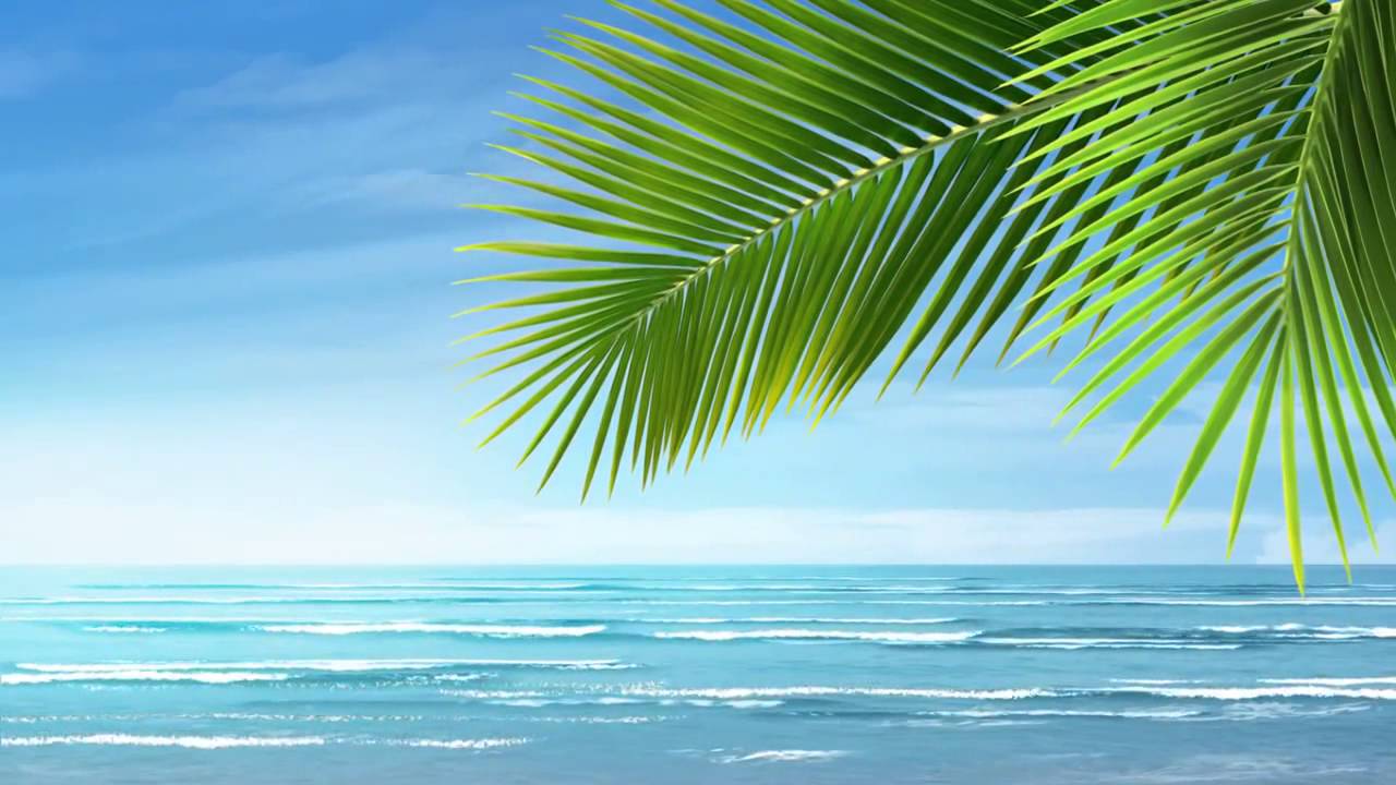 Background Video HD Beach - YouTube