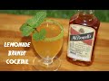 How To Prepare Classic Lemonade Brandy Cocktail