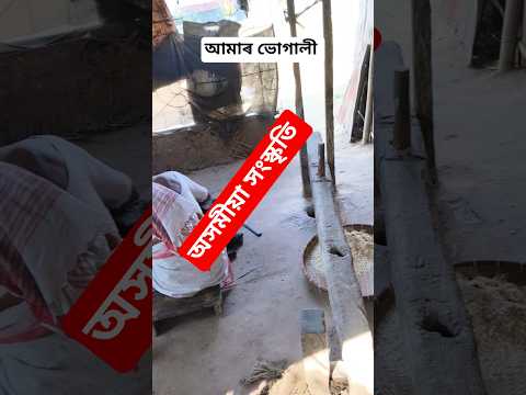 আমাৰ ভোগালী ❤️🤗