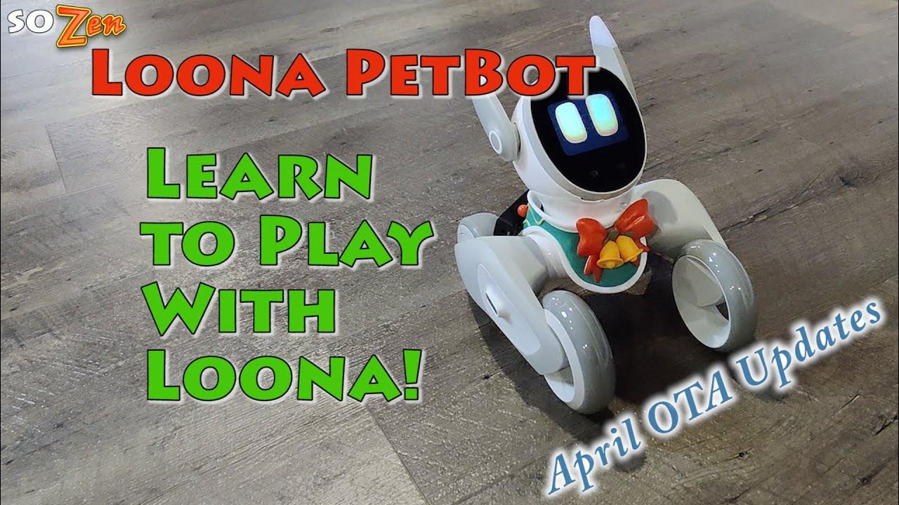 Loona Robot Series 1 Learn to Play with Loona YouTube