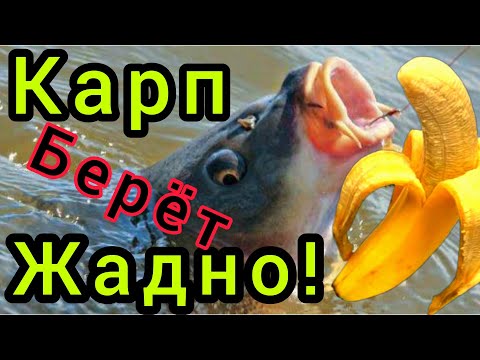 Эта Насадка Нужна Карпу И Карасю!!! Насадка Убийца На Всю Мирную Рыбу!!!