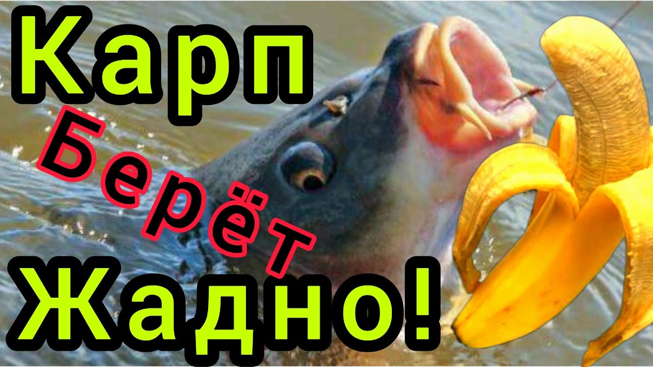Эта НАСАДКА нужна КАРПУ и КАРАСЮ!!! Насадка убийца на всю мирную рыбу!!!