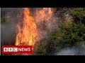 Lebanon battles worst wildfires in decades - BBC News