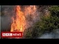 New video by BBC News on YouTube