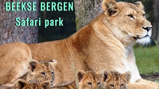 Beekse Bergen - Safaripark in the Nederlands