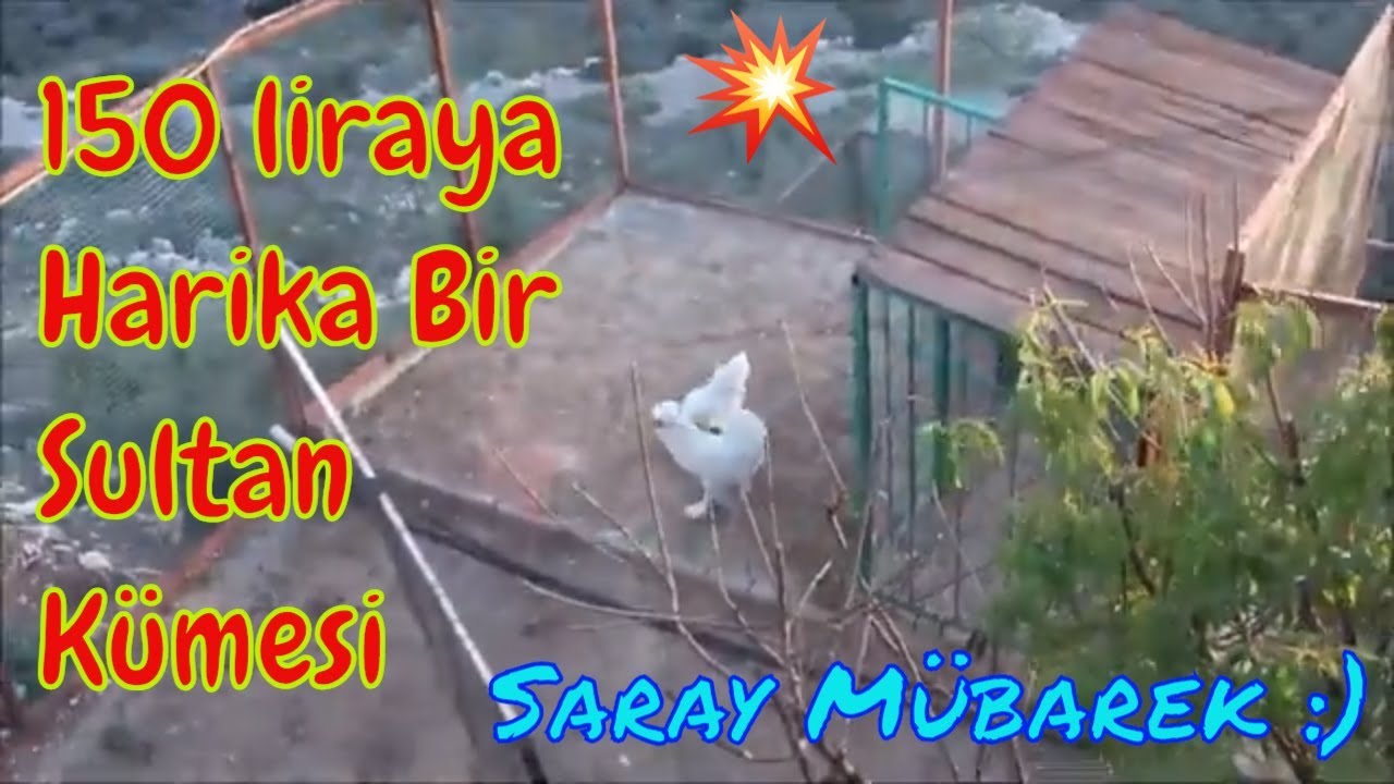 Eski Malzemelerle Harika Bir Kümes Yaptık!!!